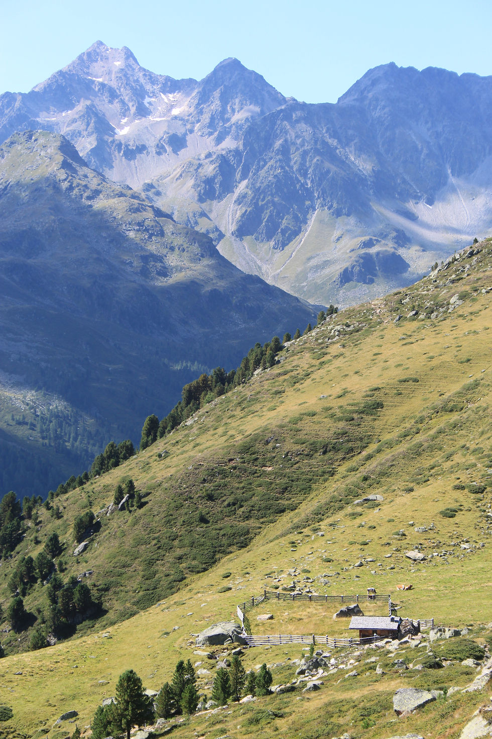 Blick von den Serpentinen auf die Gaimberger Felder