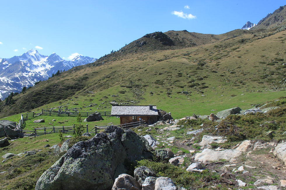 Aufstieg durch den duftenden Zirbenwald bis zur Feld-Hütte auf den Gaimberger Feldern